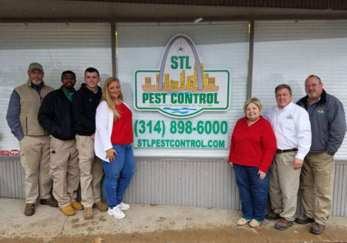 Featured image of post Spider Exterminator St Louis We can provide spider removal services and give you the tools to keep them away from your property