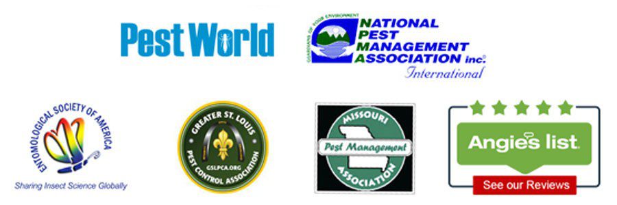Check-out-our-online-reviews