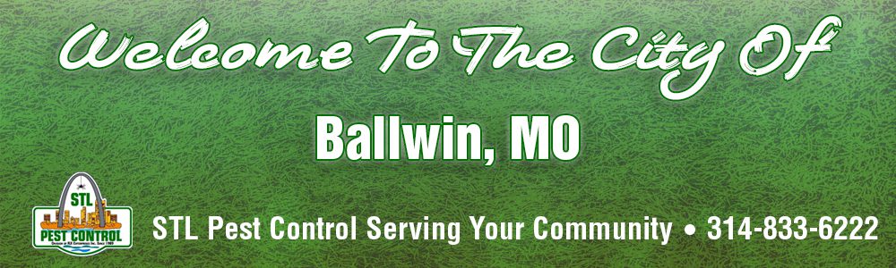 Ballwin-MO-Pest-Control-63021 Ballwin MO Pest Control