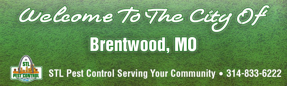 Brentwood-MO-Pest-Control-63144