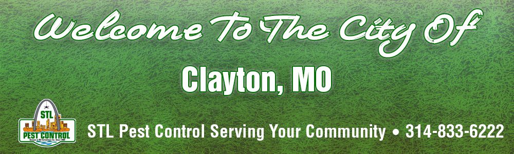 Clayton-MO-Pest-Control-63105