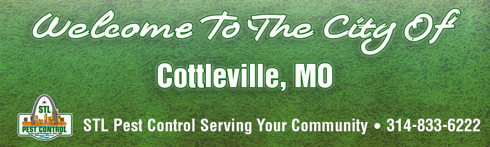 Cottleville-MO-Pest-Control-6330