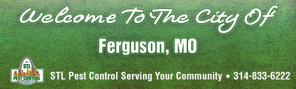 Ferguson-MO-Pest-Control-63033