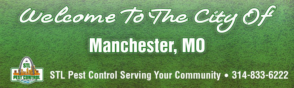 Manchester-MO-Pest-Control-63021