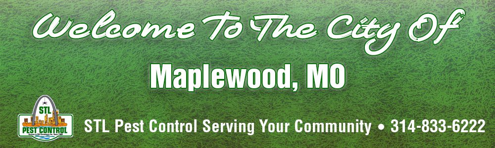 Maplewood-MO-Pest-Control-63117