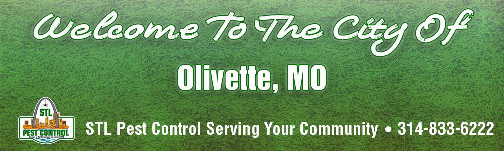 Olivette-MO-Pest-Control-63132