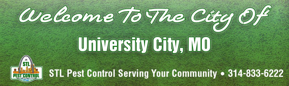 University-City-MO-Pest-Control-63130