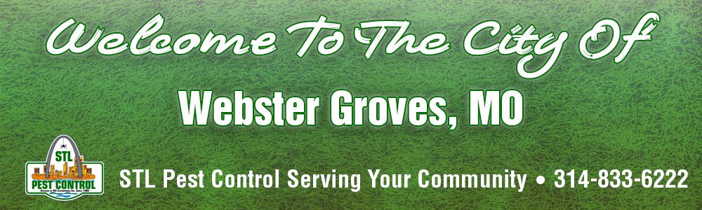 Webster-Groves-MO-Pest-Control-63119