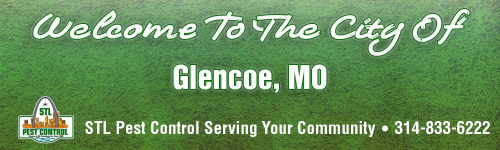 Glencoe-MO-Pest-Control-63005