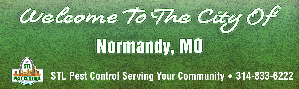 Normandy-MO-Pest-Control-63121