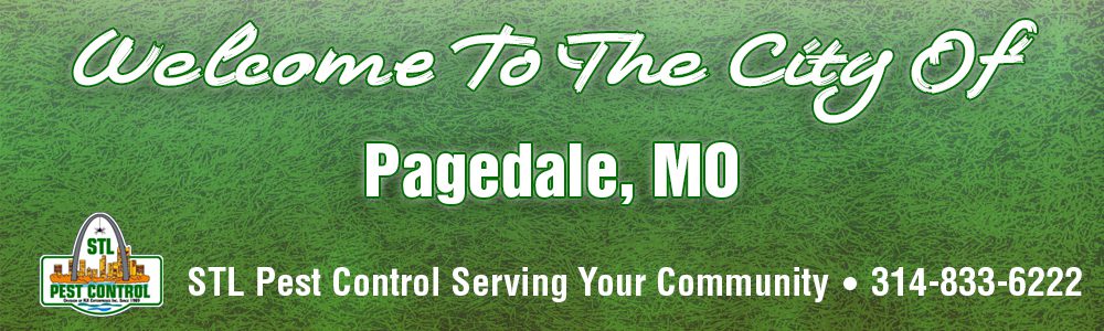 Pagedale-MO-Pest-Control-63133