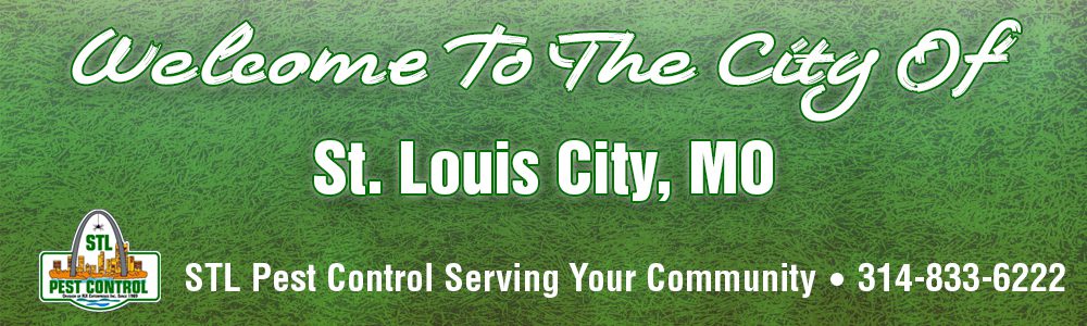 St-Louis-City-MO-Pest-Control-Service