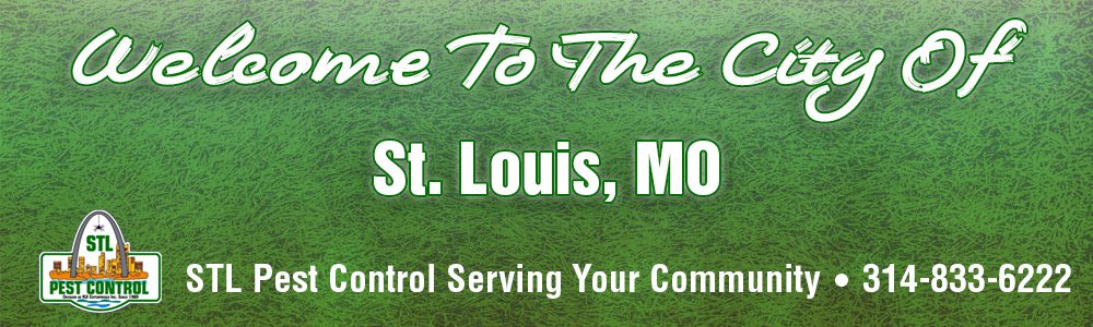 St-Louis-MO-Pest-Control-Service